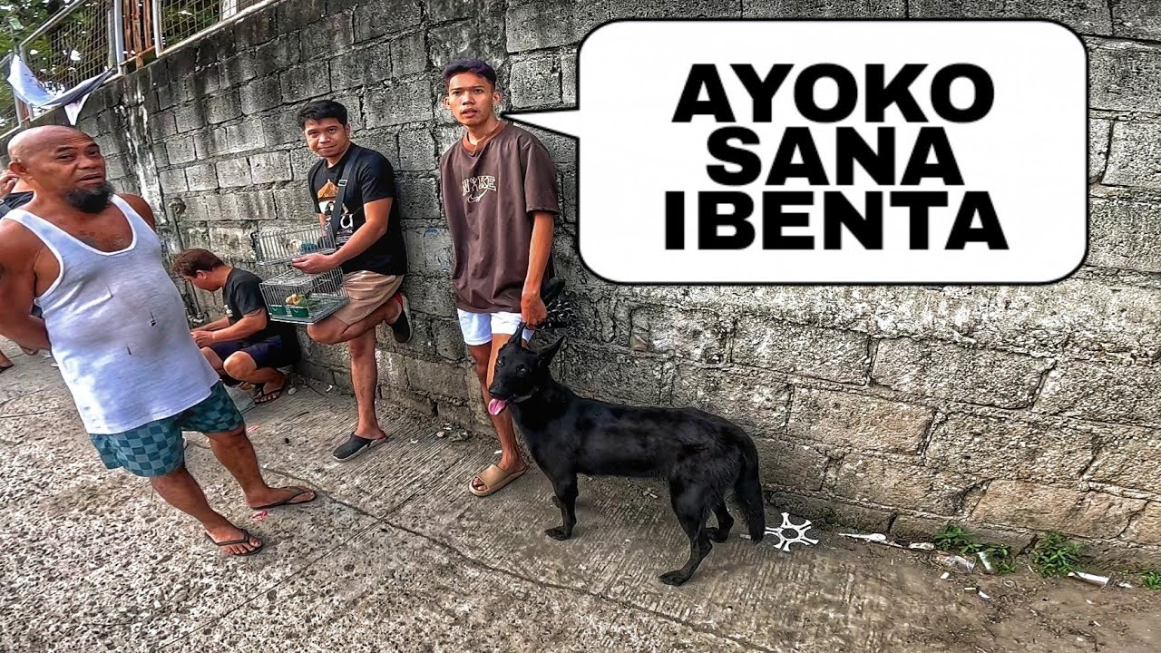 KUMPLETO MGA HAYOP DITO, PARANG MANILA ZOO