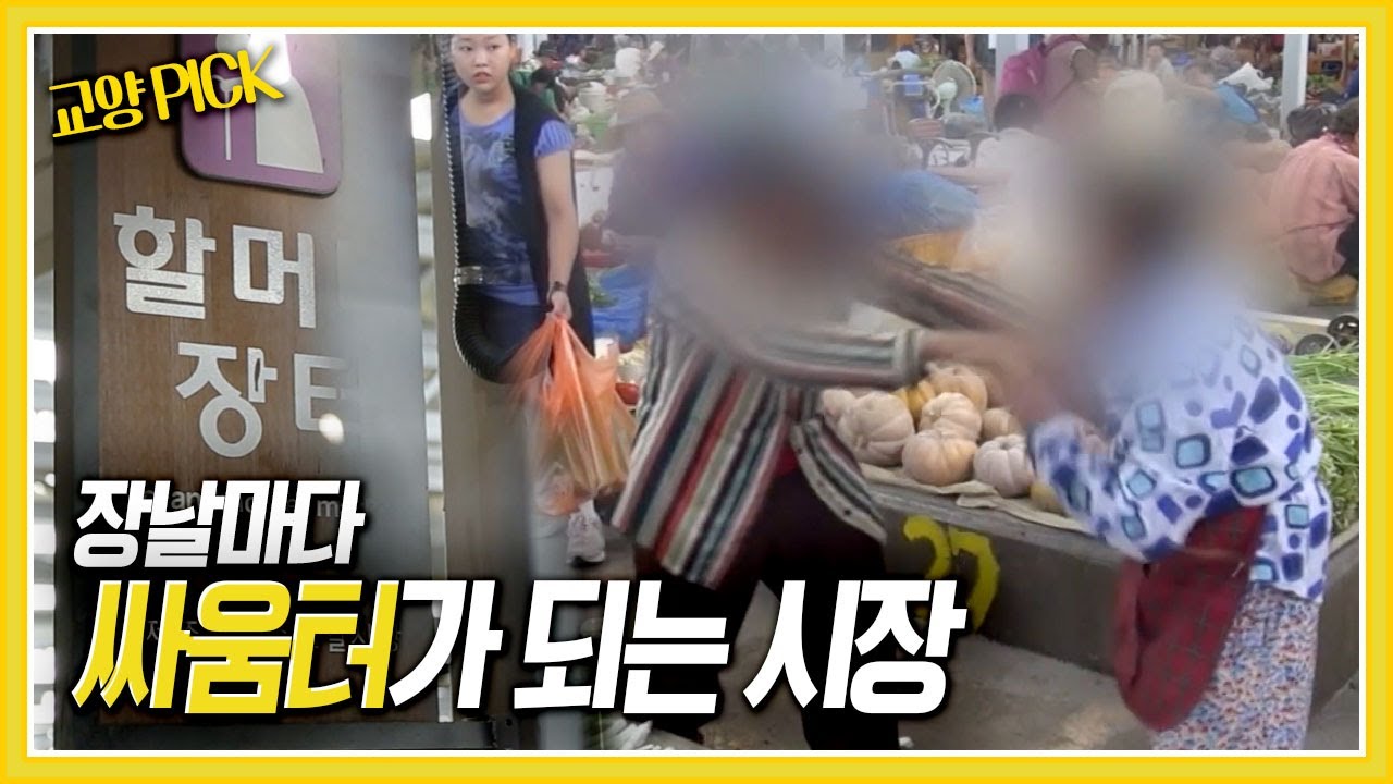 [교양 PICK] 제주 할머니 장터, 장날마다 싸움터가 되는 사연은? [제보자들] KBS 181008 방송