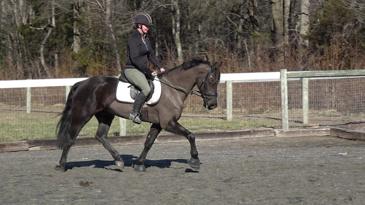 Spade 1 12 26