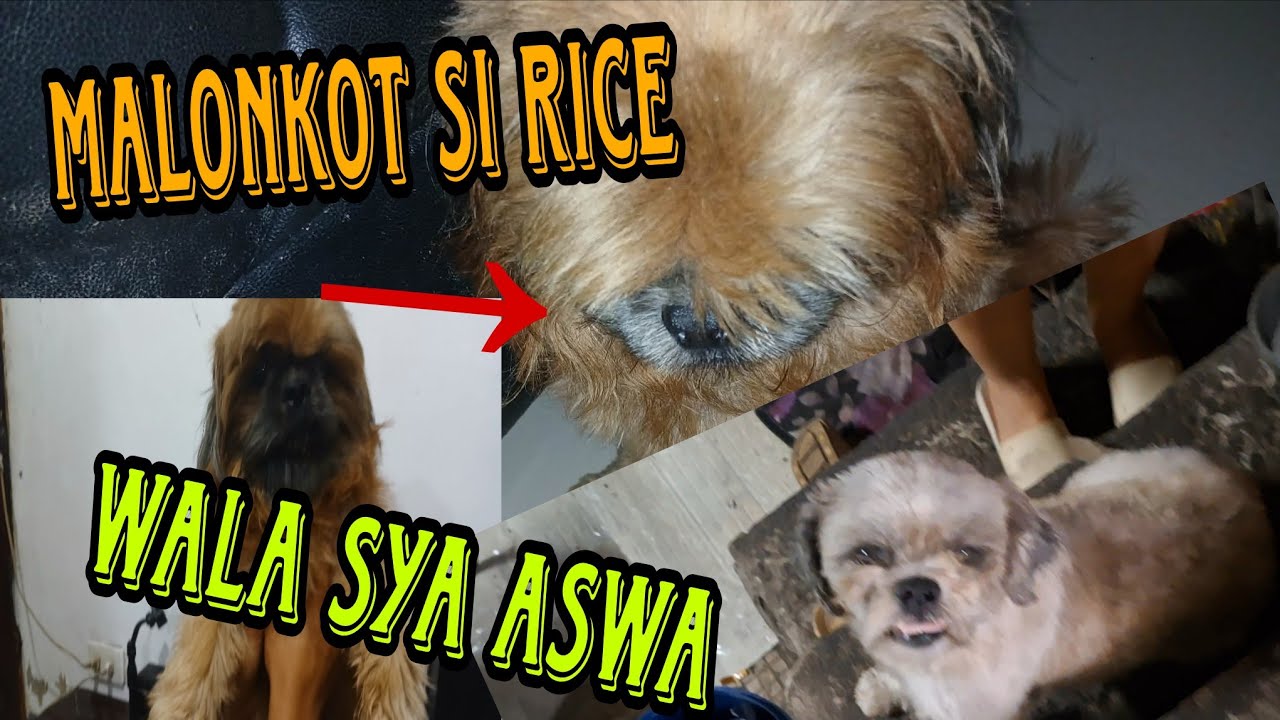 BILI TAYO ASAWA NI RAEES