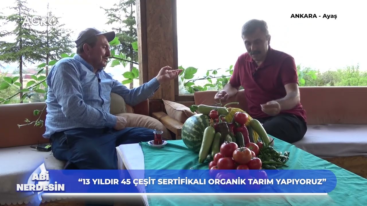 Köyün Mera Arazileri Hobi Bahçesi Oldu! 