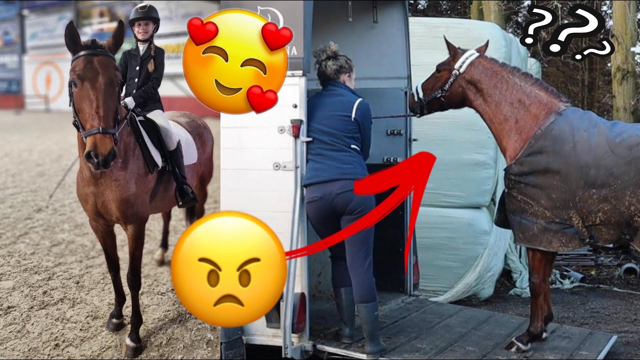 KNHS Bixie&Friends dressuur wedstrijd ||vlog154
