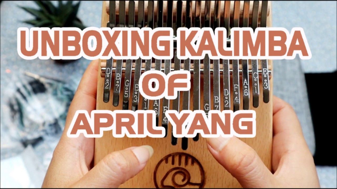 Unboxing April Yang EQ Kalimba
