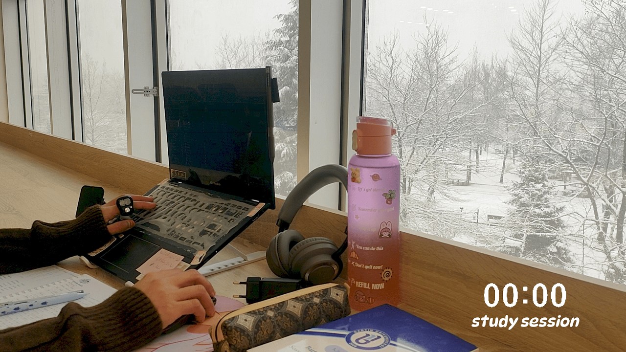 PhD Study With Me ☕ | 1 Hour Time-Lapse | Snow Window Ambience