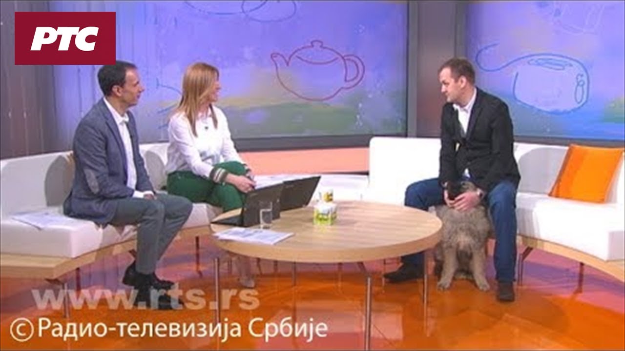 Šarplaninci u centru pažnje zahvaljujući Pašinoj popularnosti