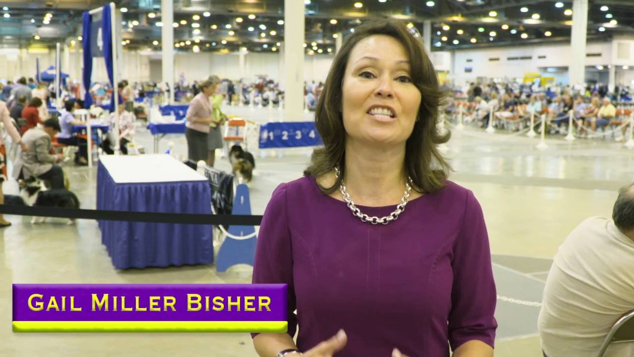 Road to Westminster (RTW): Dog Show 101 with Gail Miller Bisher