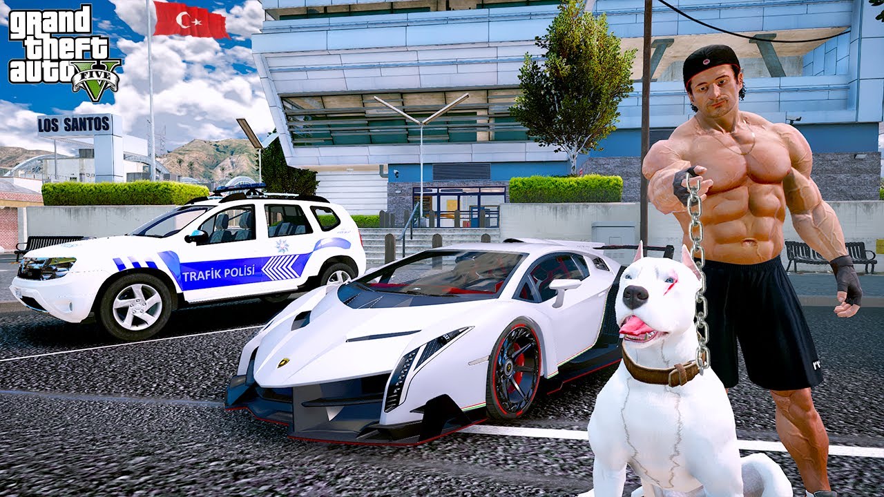 ZENGİN ADAM BEYAZ PİTBULL JACK'İ ÖLMEKTEN KURTARIYOR! - GTA 5