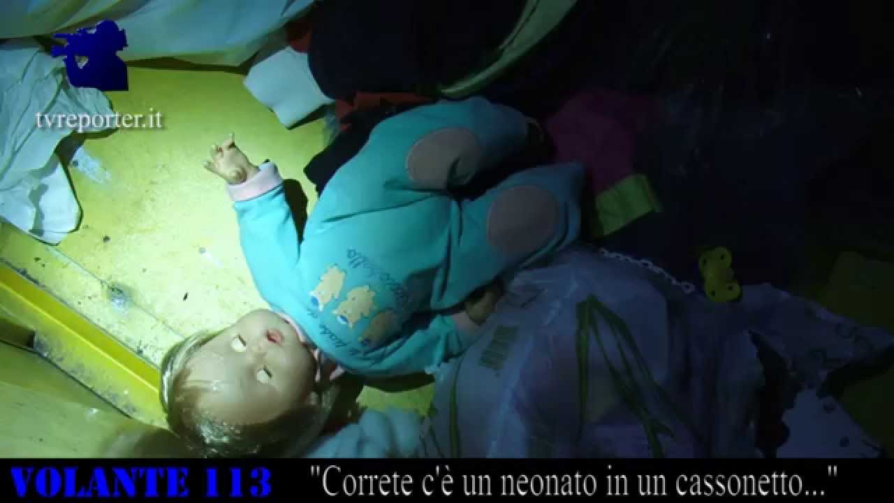 VOLANTE 113: 