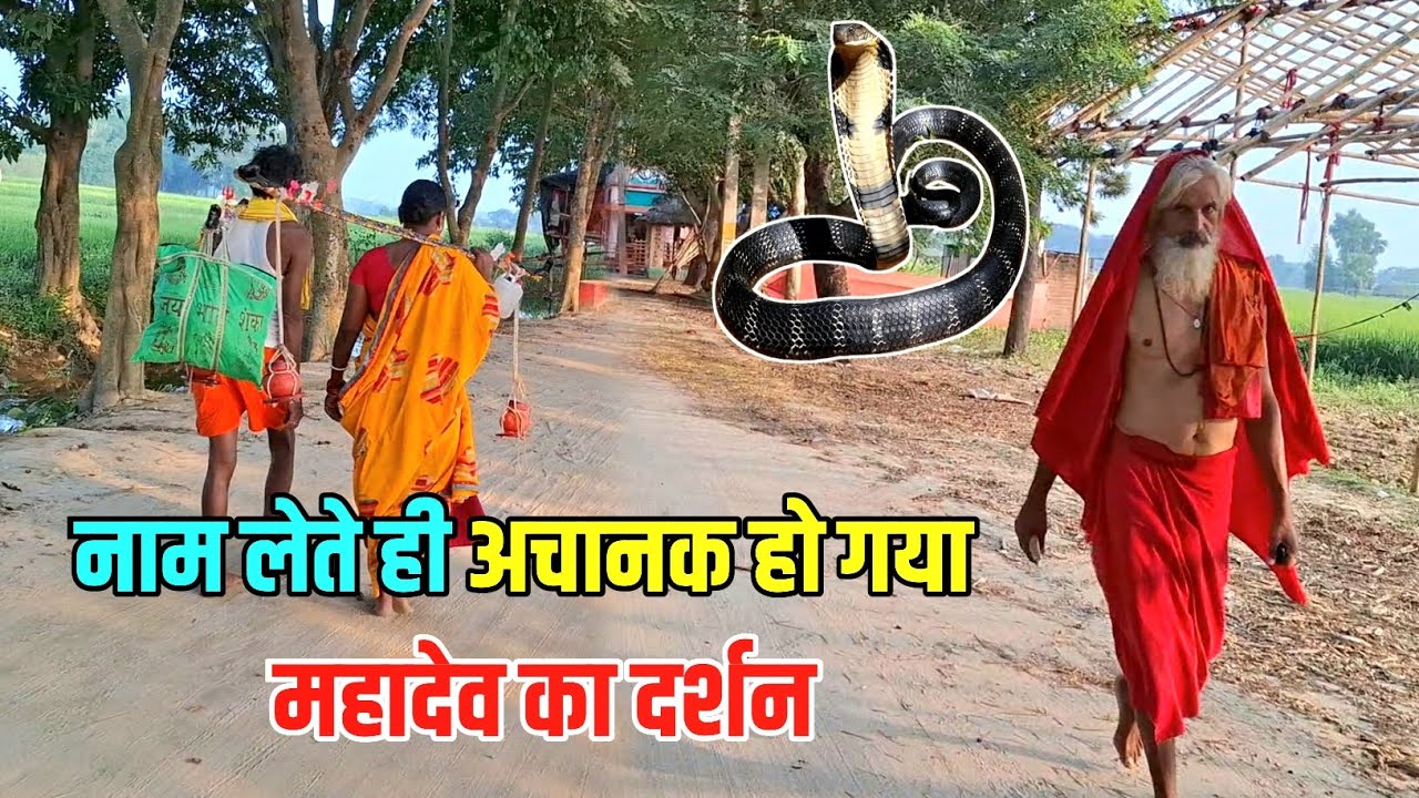 स्वर्ग के रास्ते में अचानक हुआ ऐसा | Babadham #Bolbam New Update | Sultanganj To Deoghar Yatra 