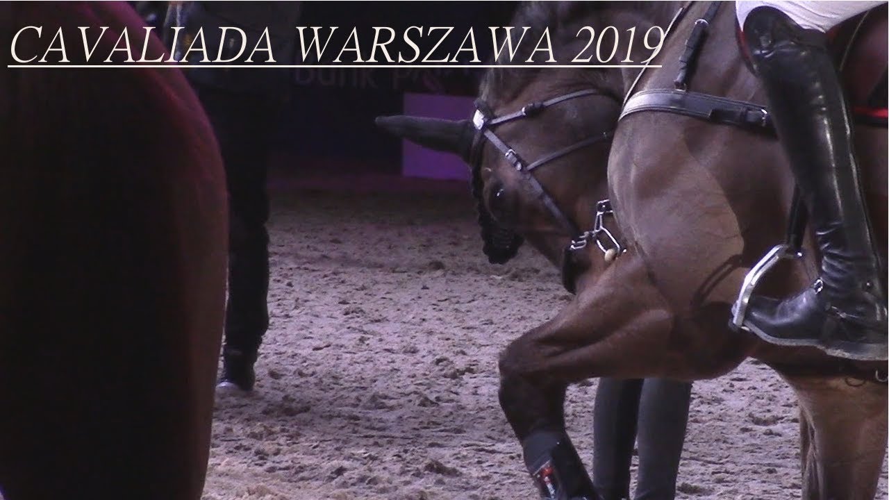 VLOG || CAVALIADA 2019