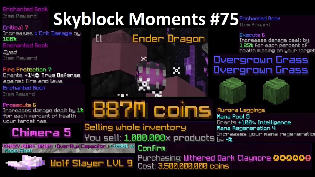 RNG + COINS (hypixel skyblock moments #75)