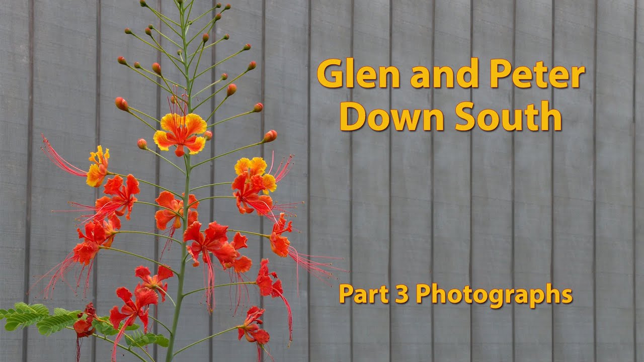 Glen and Peter Down South Part 3 - Rarotonga still pictures