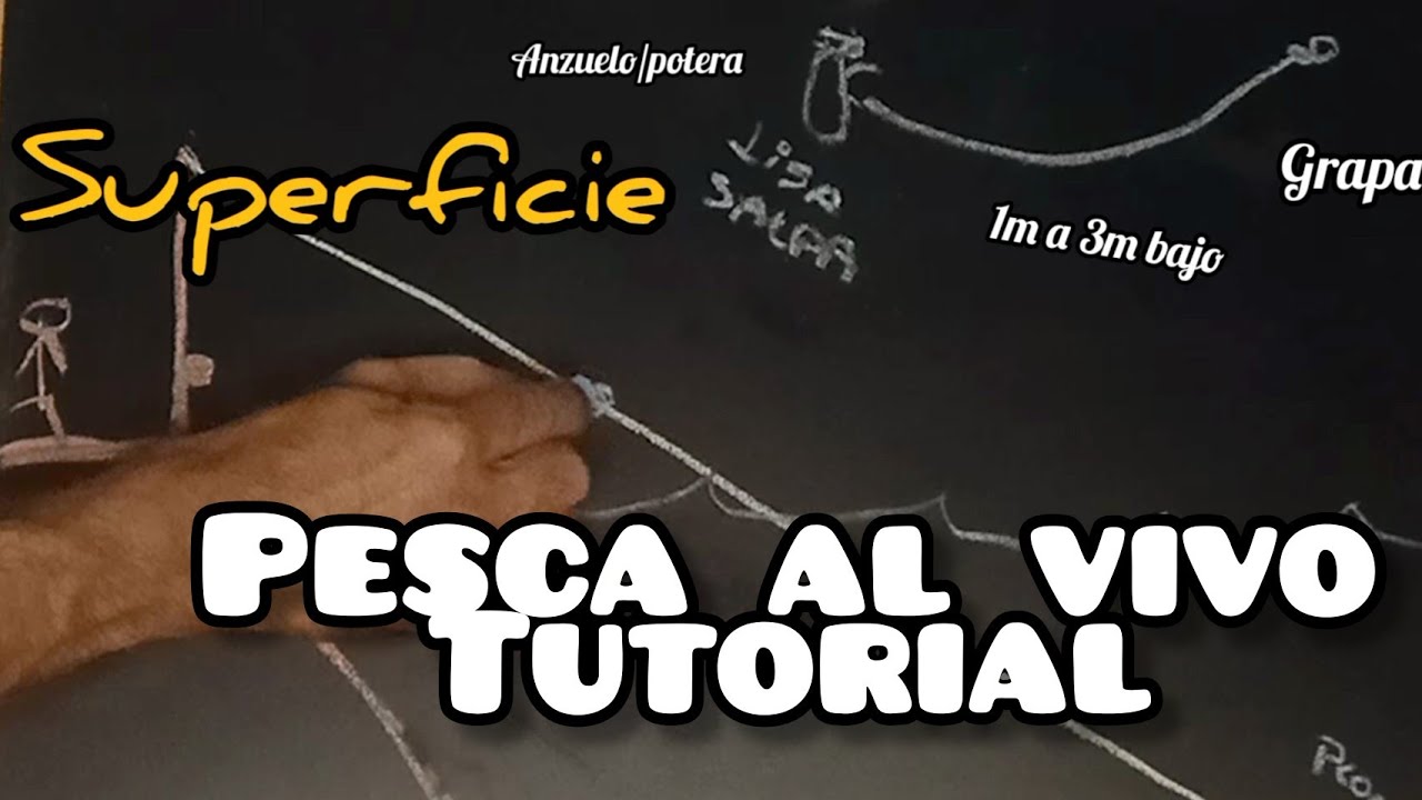 TUTORIAL de PESCA al VIVO desde COSTA (ascensor o tirolina) #pescaalvivo #surfcasting #rockfishing