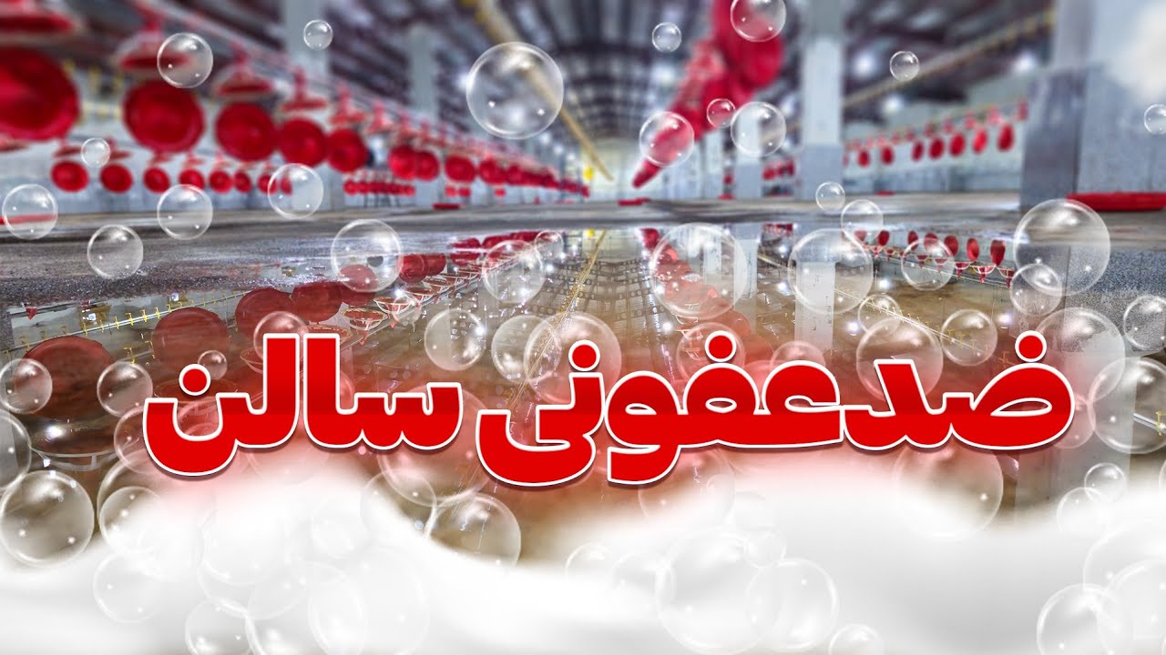 چرا نباید سالن خیس را ضدعفونی کنیم؟