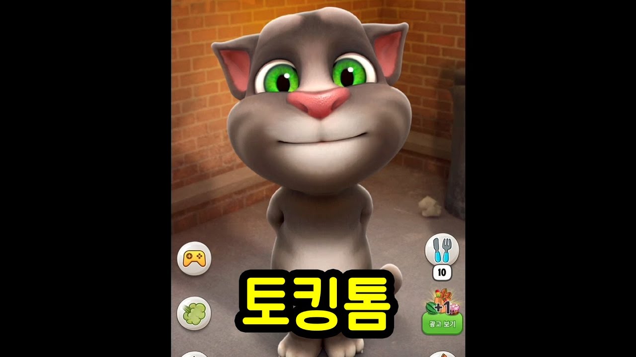 이 고양이를 아십니까?
