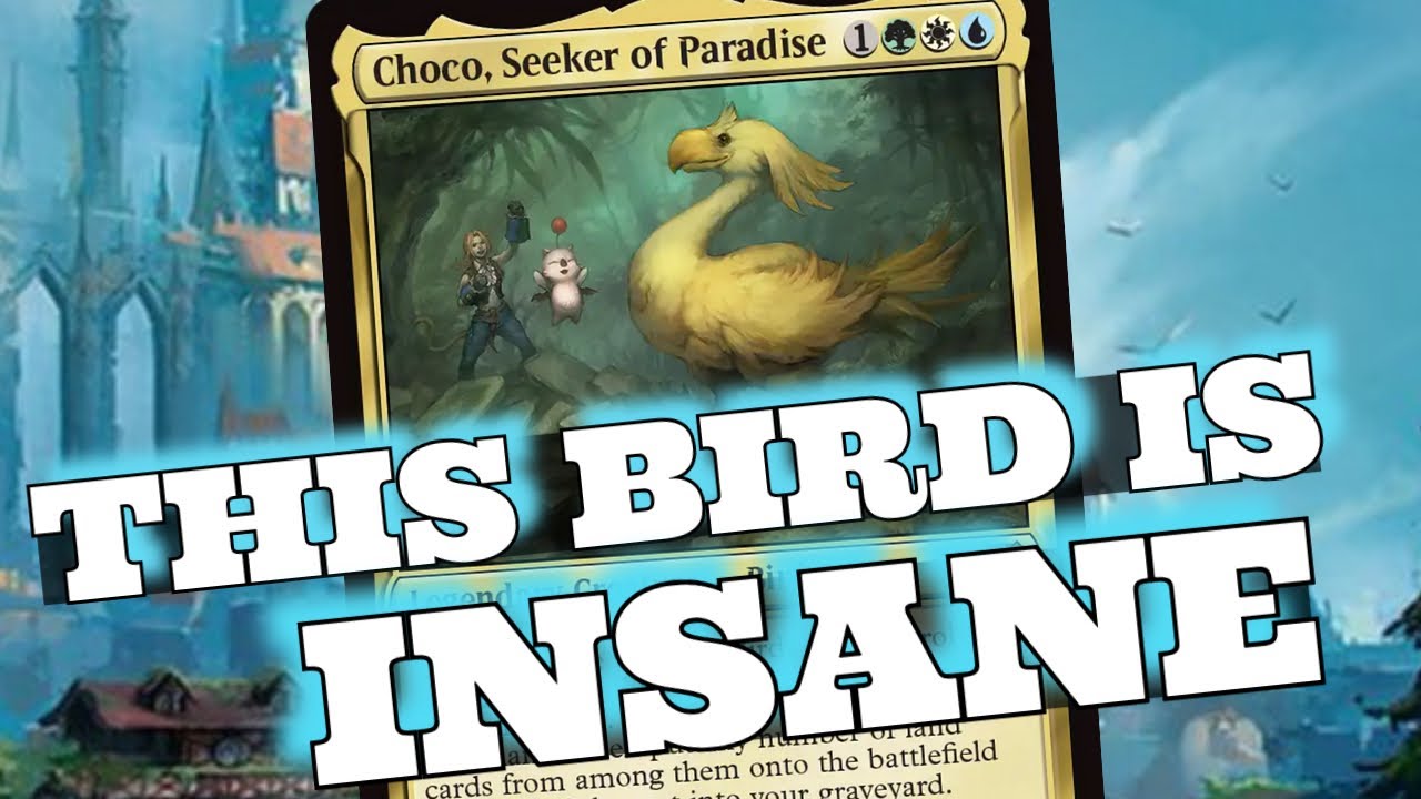 Can we Break Birds!?!? Choco, Seeker of paradise card review