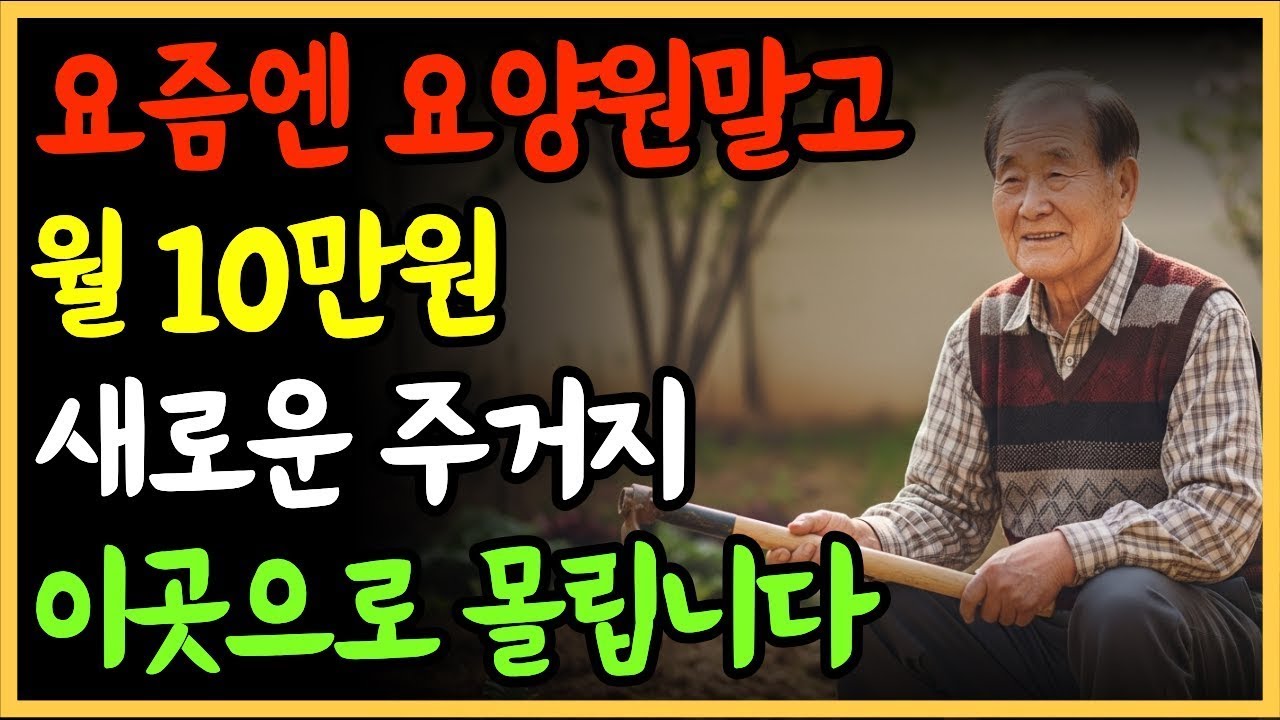 요양원 대신 ‘이곳’으로 갑니다… 월 10만원에 새 인생이 시작됩니다