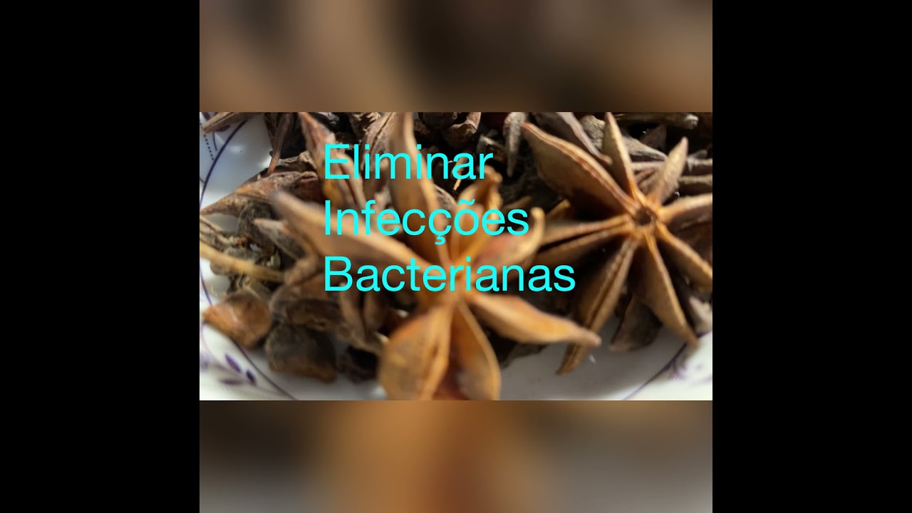 PARA QUE SERVE O ANIS ESTRELADO 🧐?#CombateInfeccoes,tratagripe....