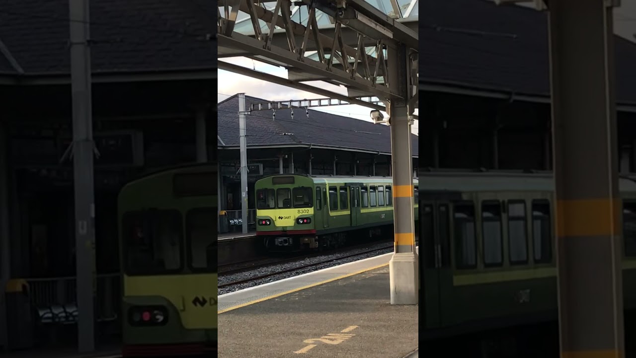 Dart train in bray