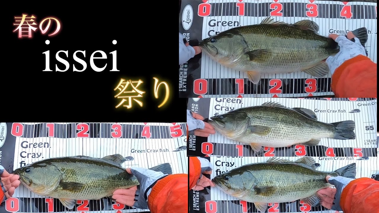 春のissei祭り【バス釣り】