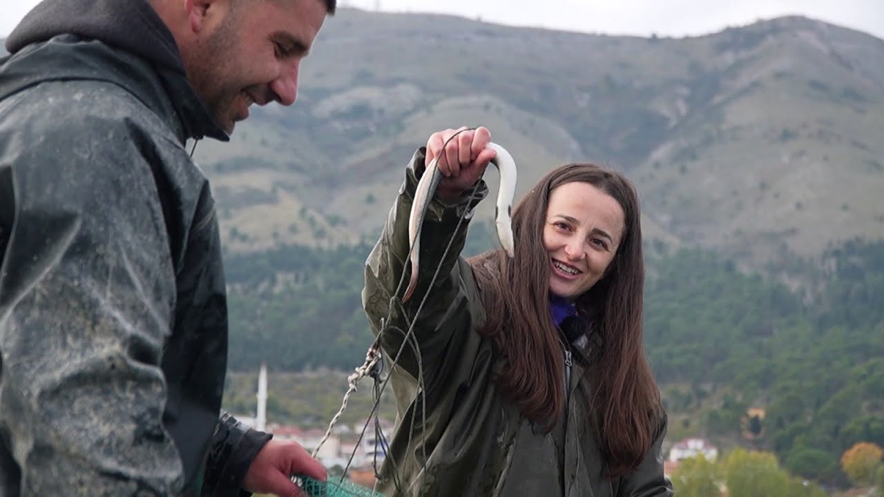 Ngjala e Shkodrës “FLORIRI” i peshkatarëve/ Peshku mistik që çmend turistët - Bagëti e Bujqësi