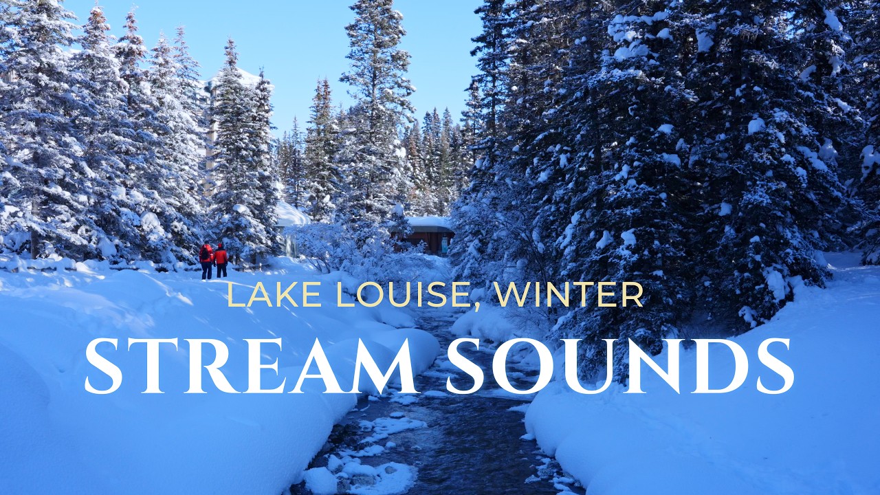4K Immersive Nature Sounds | Winter Serenity at Lake Louise Stream | 4K 沉浸式自然原聲