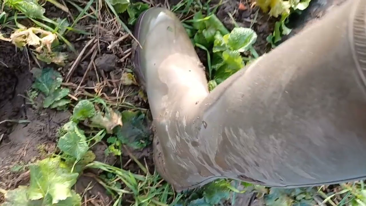 Tilbage på guldmarken sæson 3