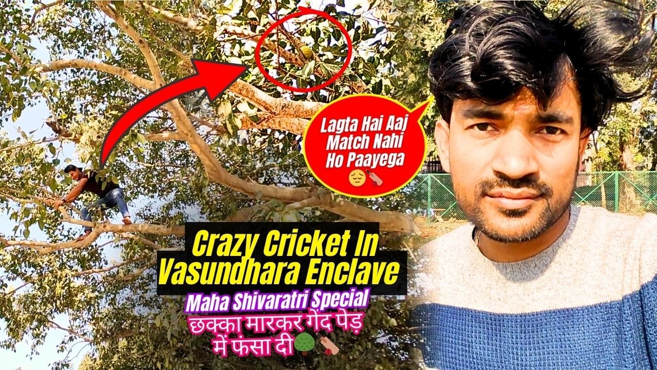 छक्का मारकर गेंद पेड़ में फंसा दी🌳🏏|| Crazy Cricket In Vasundhara Enclave || Maha Shivaratri Special