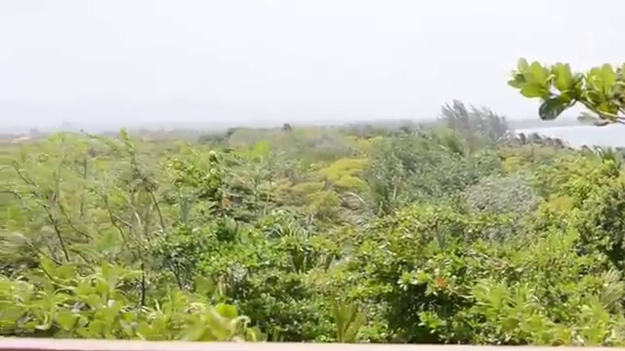 Belize Vacation - Hamanasi | Tree house