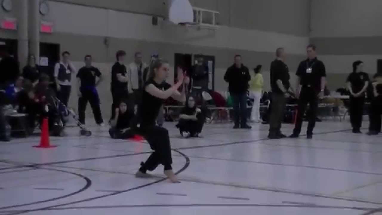 White Crane Kung Fu - Double Daggers