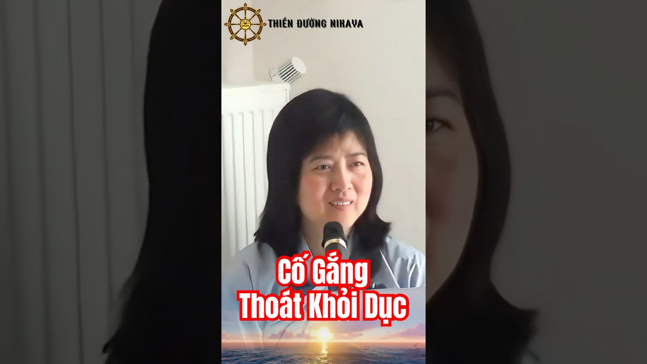 Cố Gắng Tho&aacute;t Khỏi Dục _ Chơn T&iacute;n To&agrave;n  #phat #chontintoan#nikaya #shorts