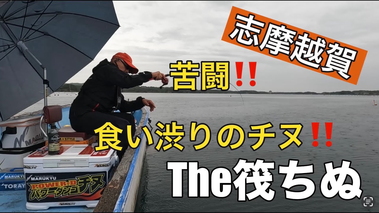 志摩越賀のチヌかかり釣り・筏釣り