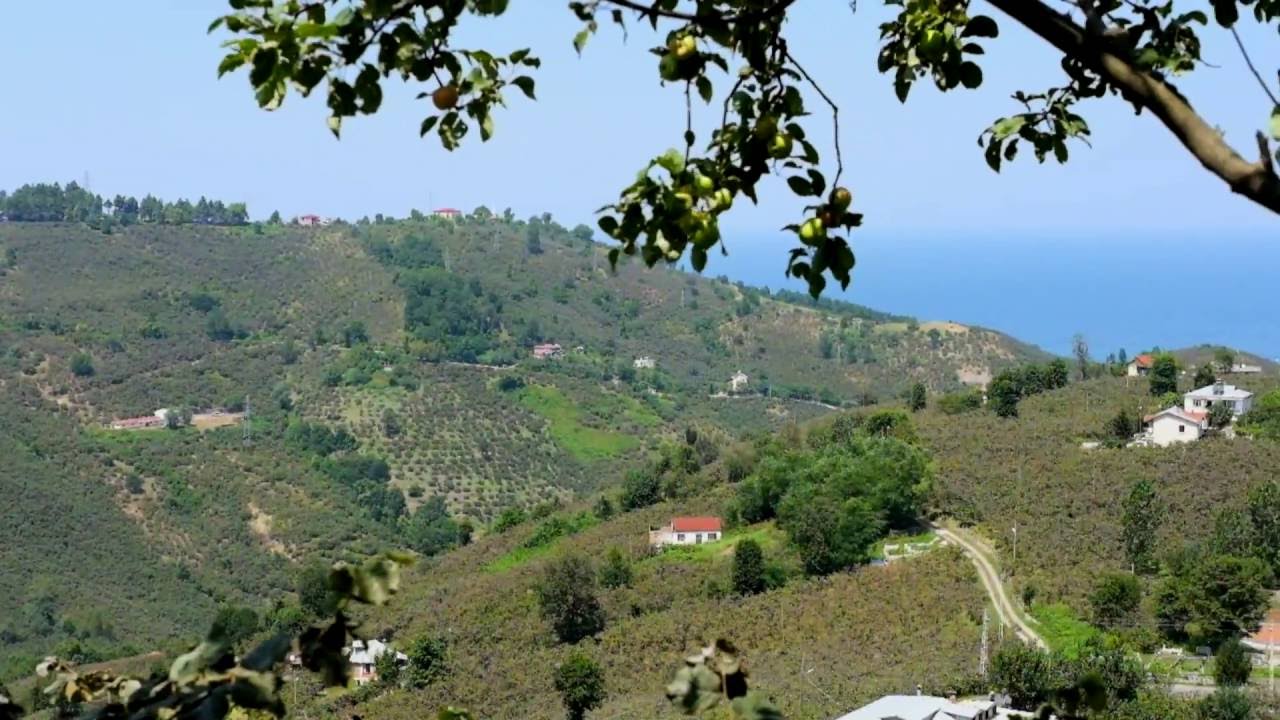 Bulancak ve Maden Köyü