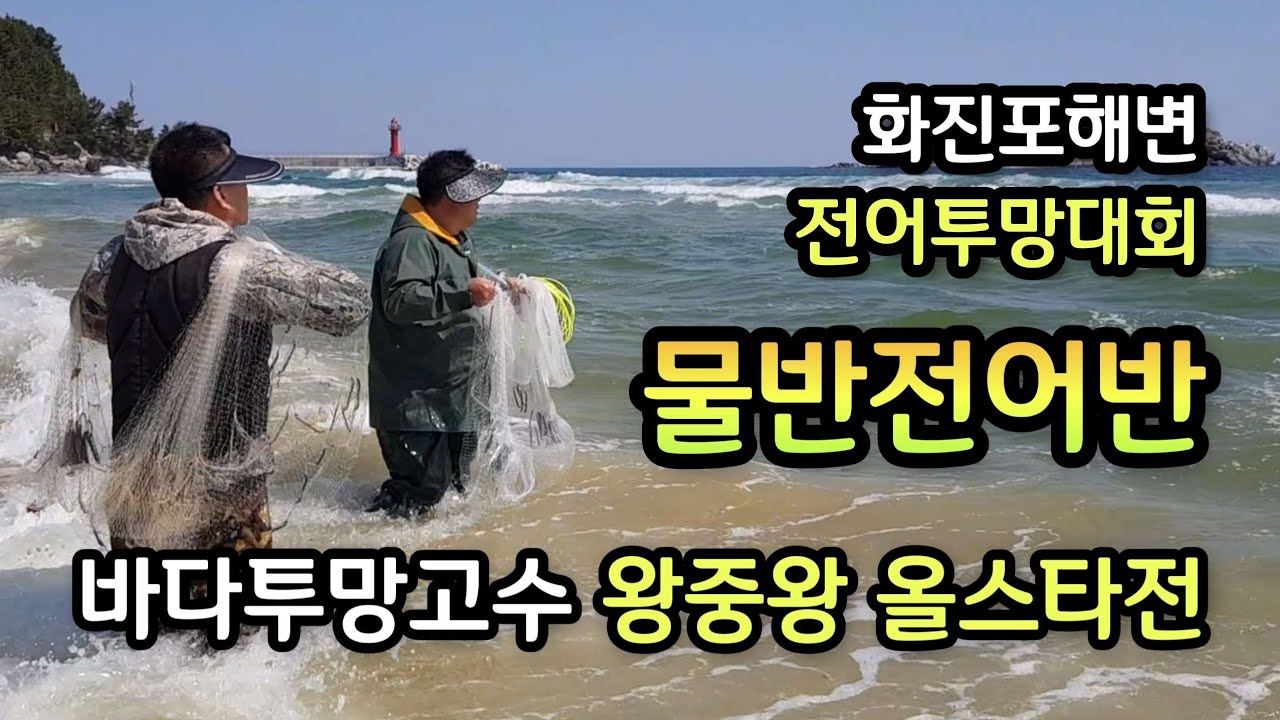 화진포해변 대전어투망달인고수들 올스타전, 투망달인원투형님 포크레인갯터짐,50~100마리씩 봄 대전어떼sbs생활의달인2기투망달인송학맨님도출연,cast net fishing,pesca