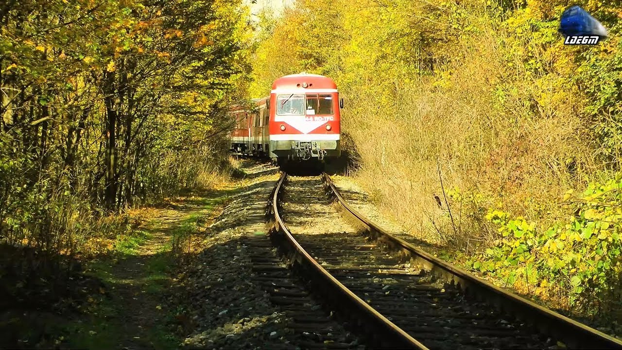 Automotor VT614 DMU/Diesel Triebwagen in Muntii Apuseni Mountains [Autumn Edition] 20 October 2017