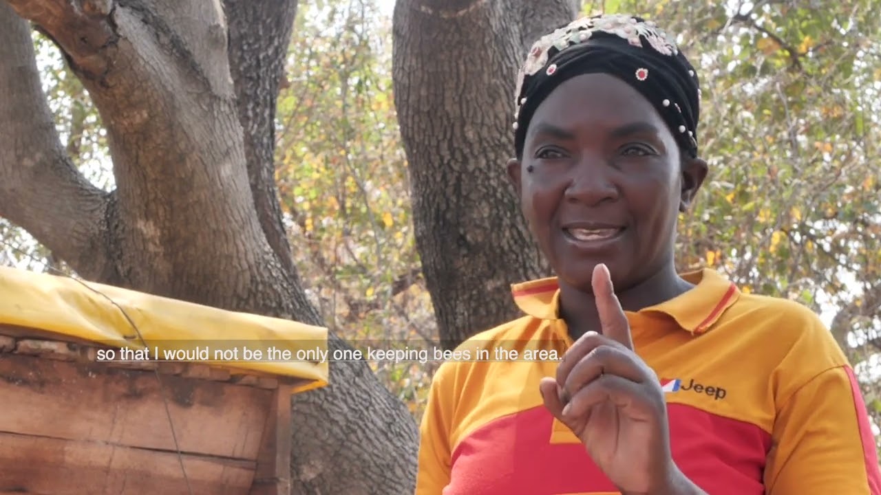 Strengthening Climate Resilience of Agricultural Livelihoods: Kazungula