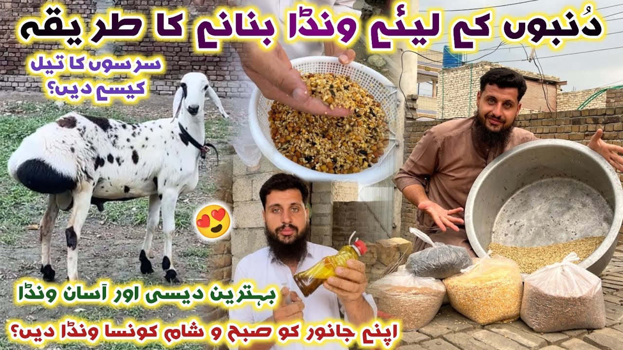 Dumbo ka Wanda Banane Ka Tariqa | Gosht Barhane Wala Wanda | Dumbo Ko Mota Karne Ka Wanda| Izhar Ali
