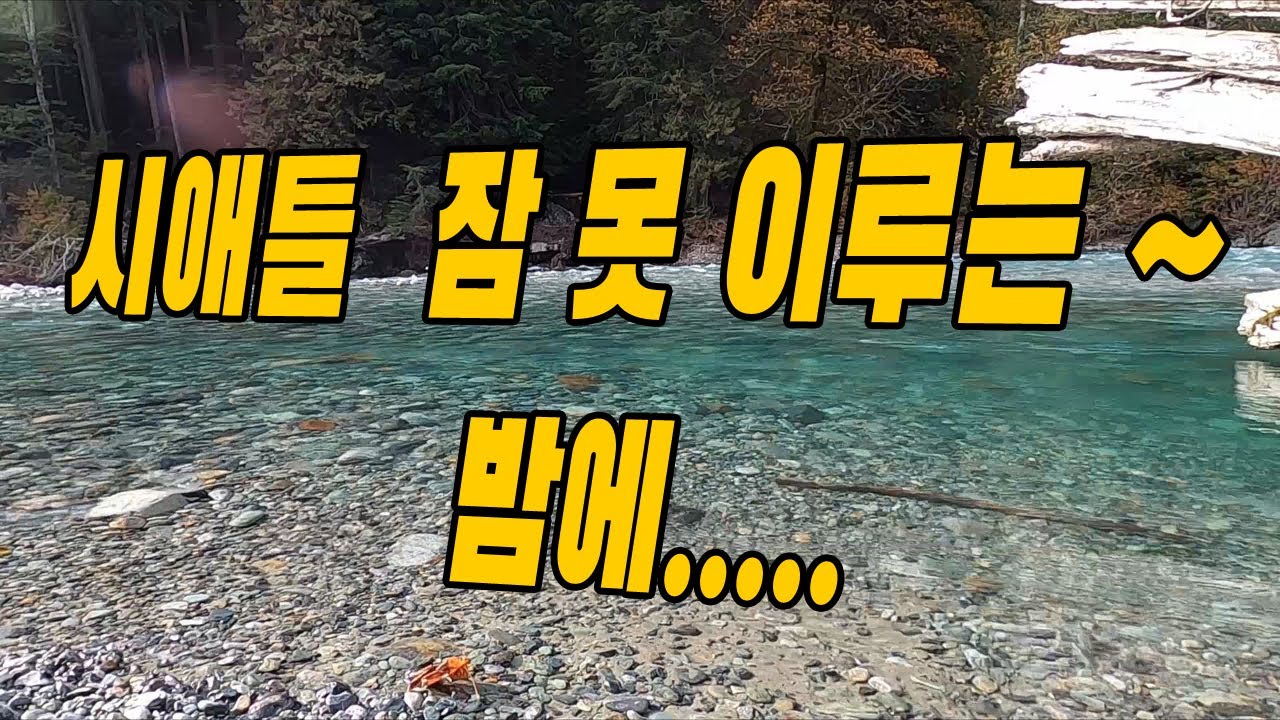 불면증 /청정계곡/백색소음