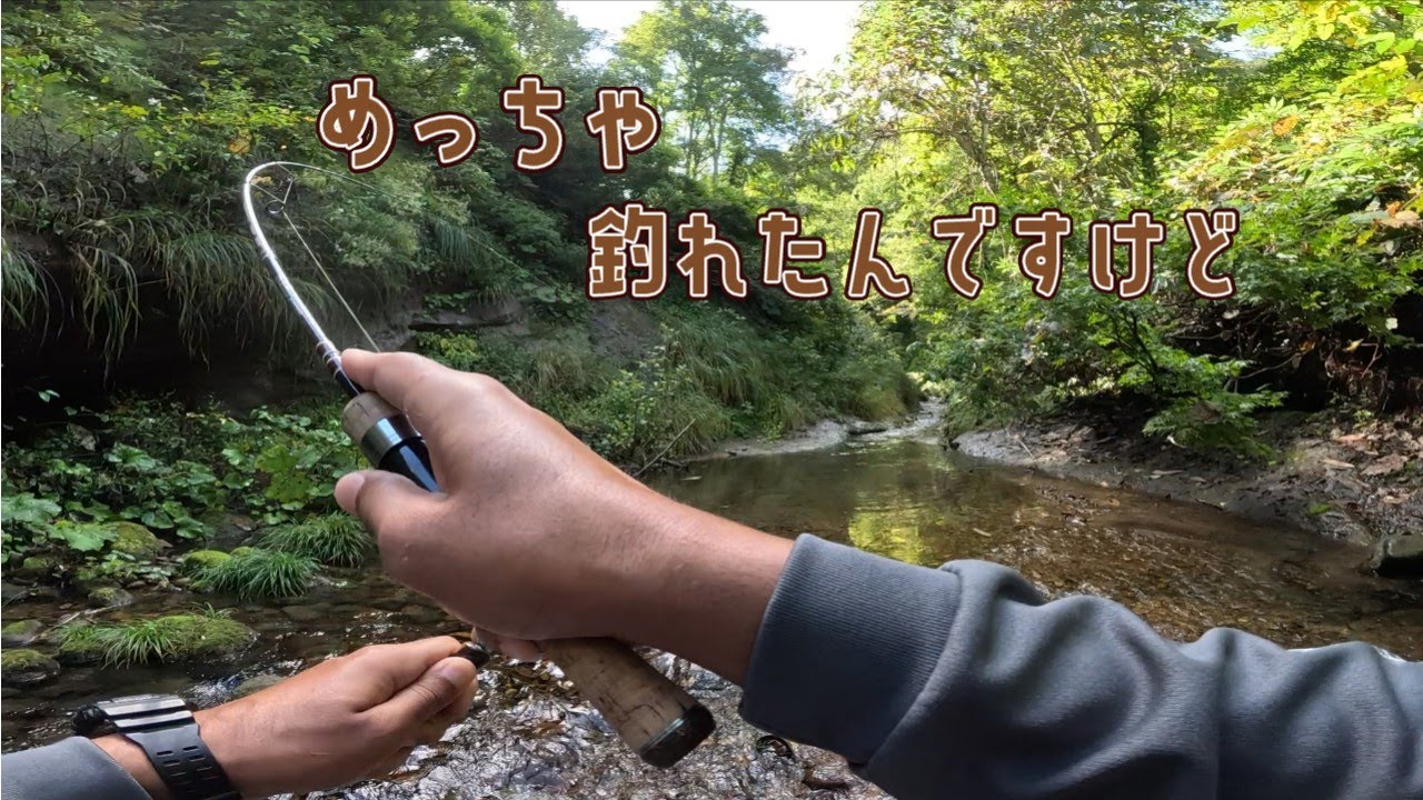 案内してもらった渓流がめっちゃ釣れて役満