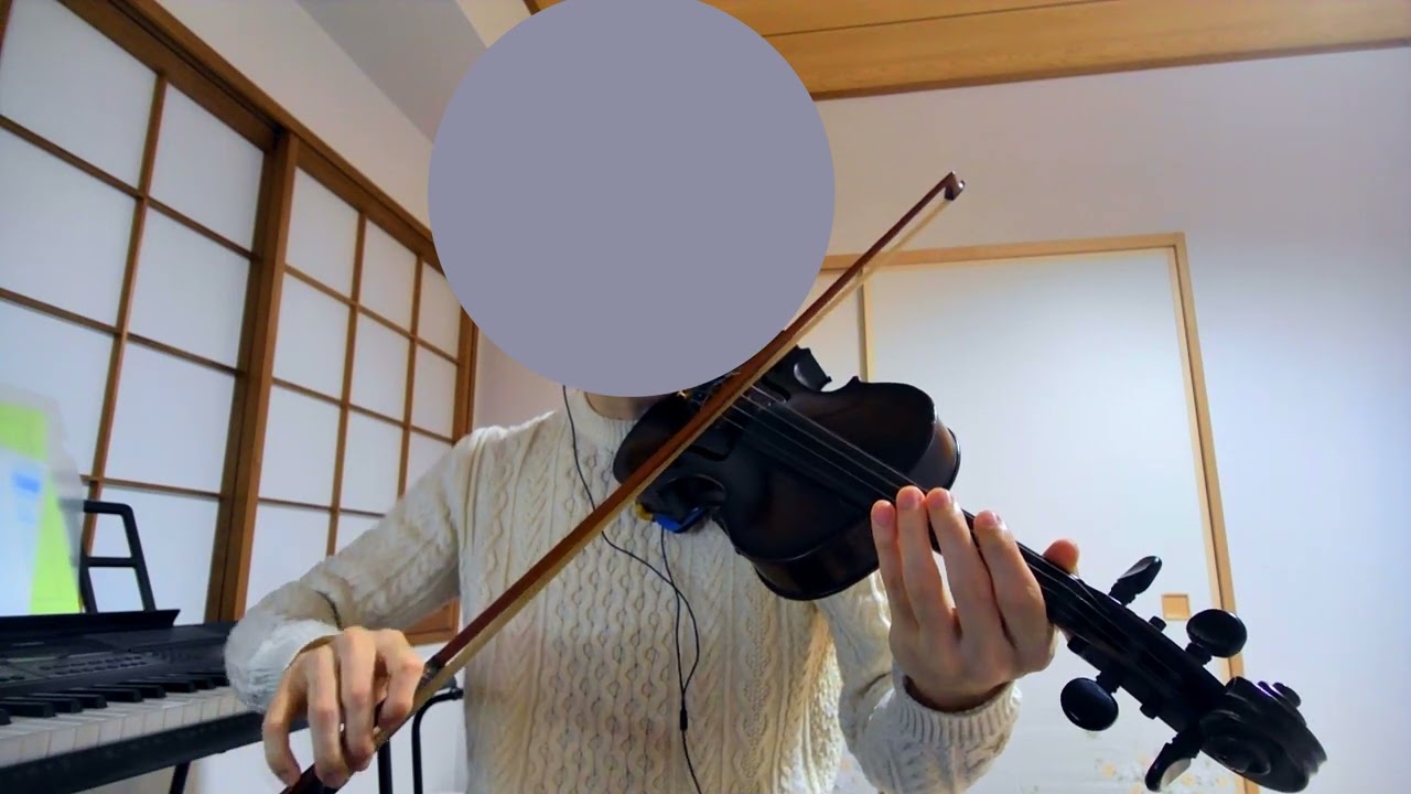 バイオリン試奏31 (Suzuki No.W)　Violin Sound Test 31 (Suzuki No.W)