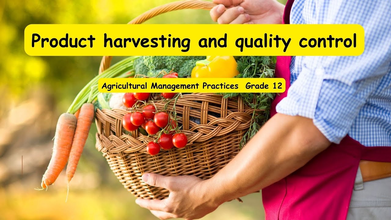 Agricultural Management Practices grade12 Product harvesting and quality control