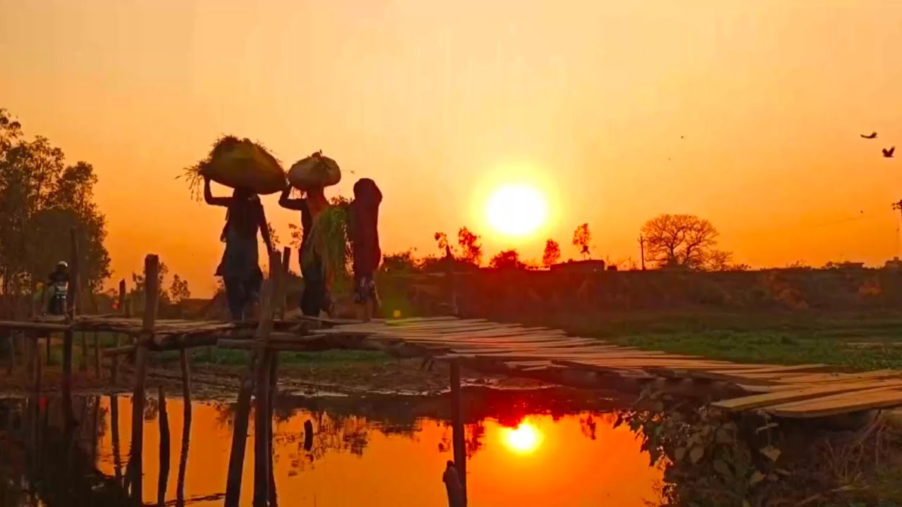 🛖Village Evening Sunset View🌄