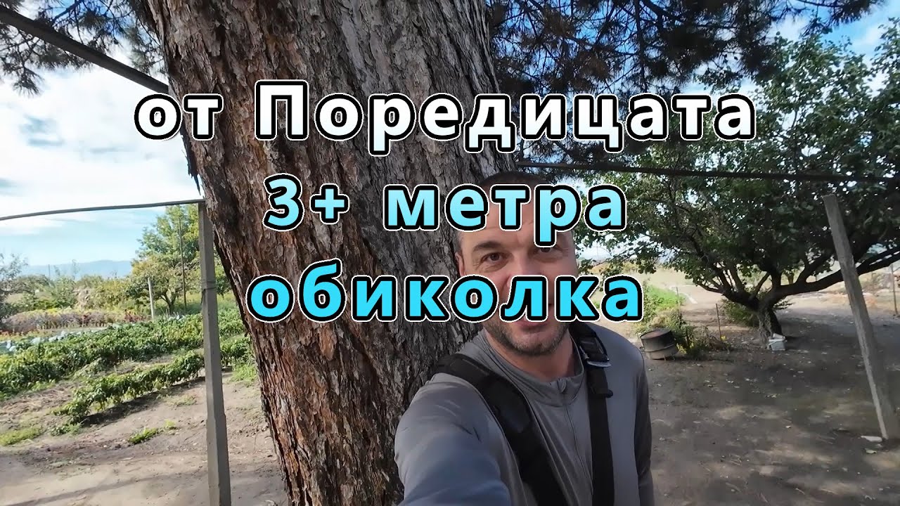 Огромен, Двоен, Умора, Поредица