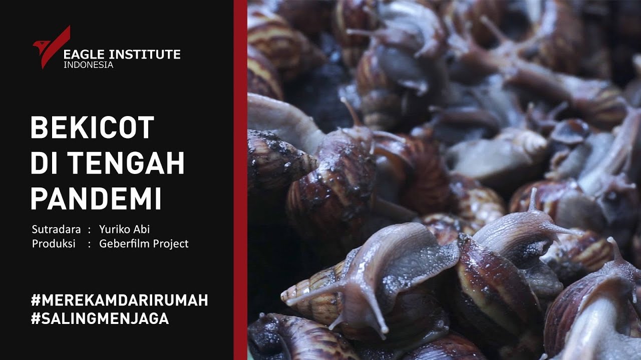 #MEREKAMDARIRUMAH: Bekicot Di Tengah Pandemi