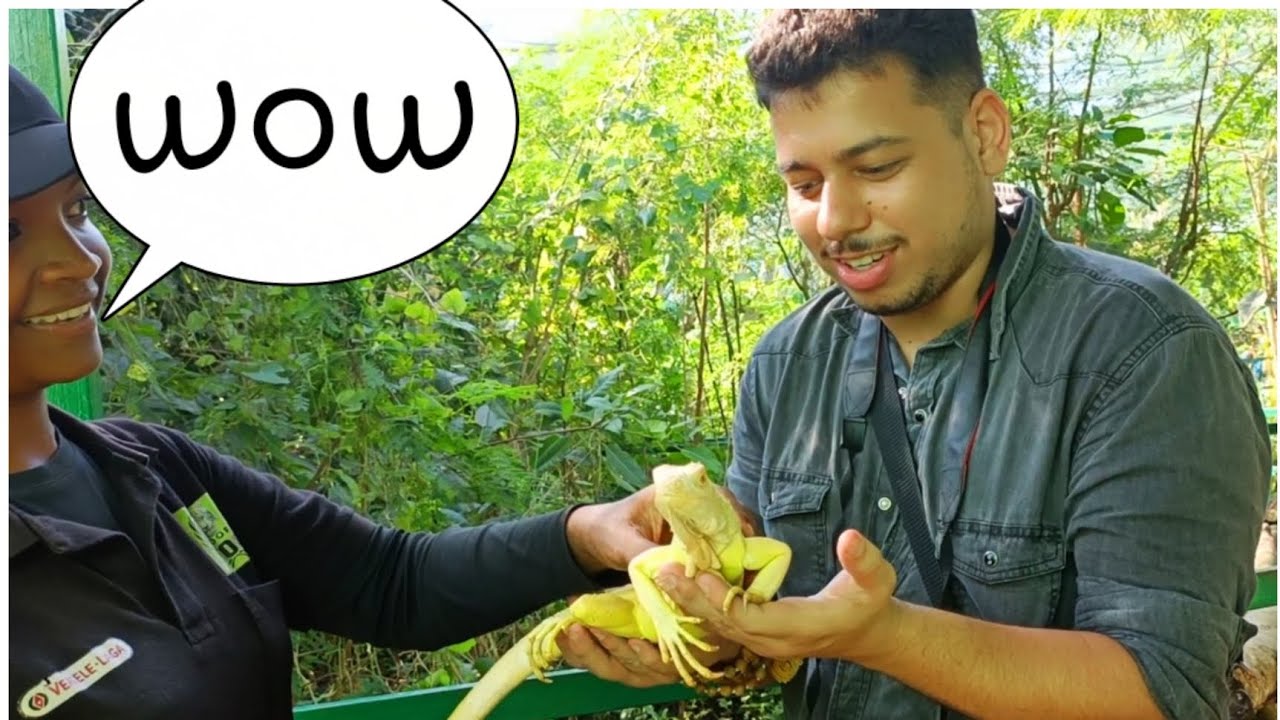 India's world famous zoo•|•भारत का विश्व प्रसिद्ध चिड़ियाघर |•| the untold stories•अनकही कहानियां P2