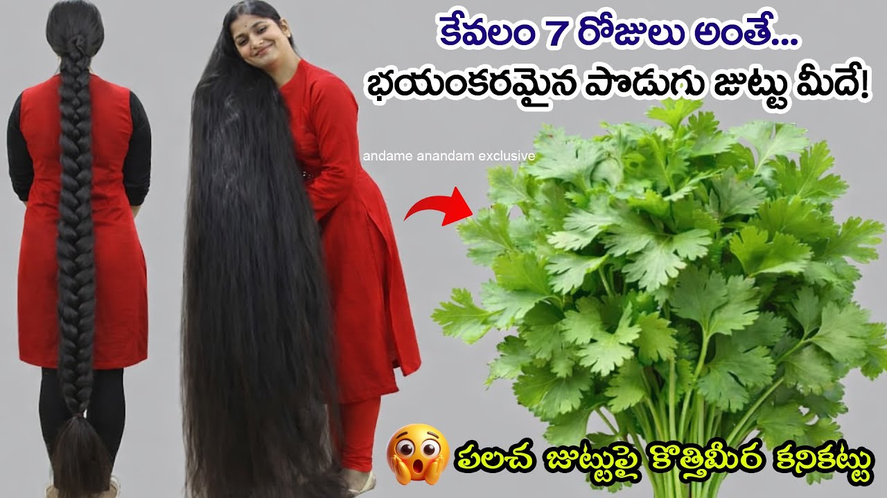 🌿 కొత్తిమీర ఆకులతో ఇది కలపండి 🌿✨ ఇక సన్నని మీ జుట్టు ✨💚 ఒత్తుగా నల్లగా పొడవుగా🚀 పెరుగుతూనే ఉంటుంది 💯