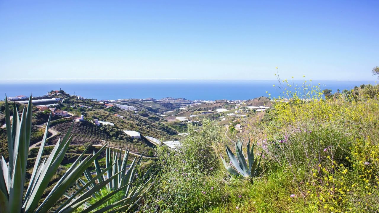 Ref: Saya011 - rural plot - Sayalonga - 137.000&euro; - sureproperties.es #realestate #buyingahome
