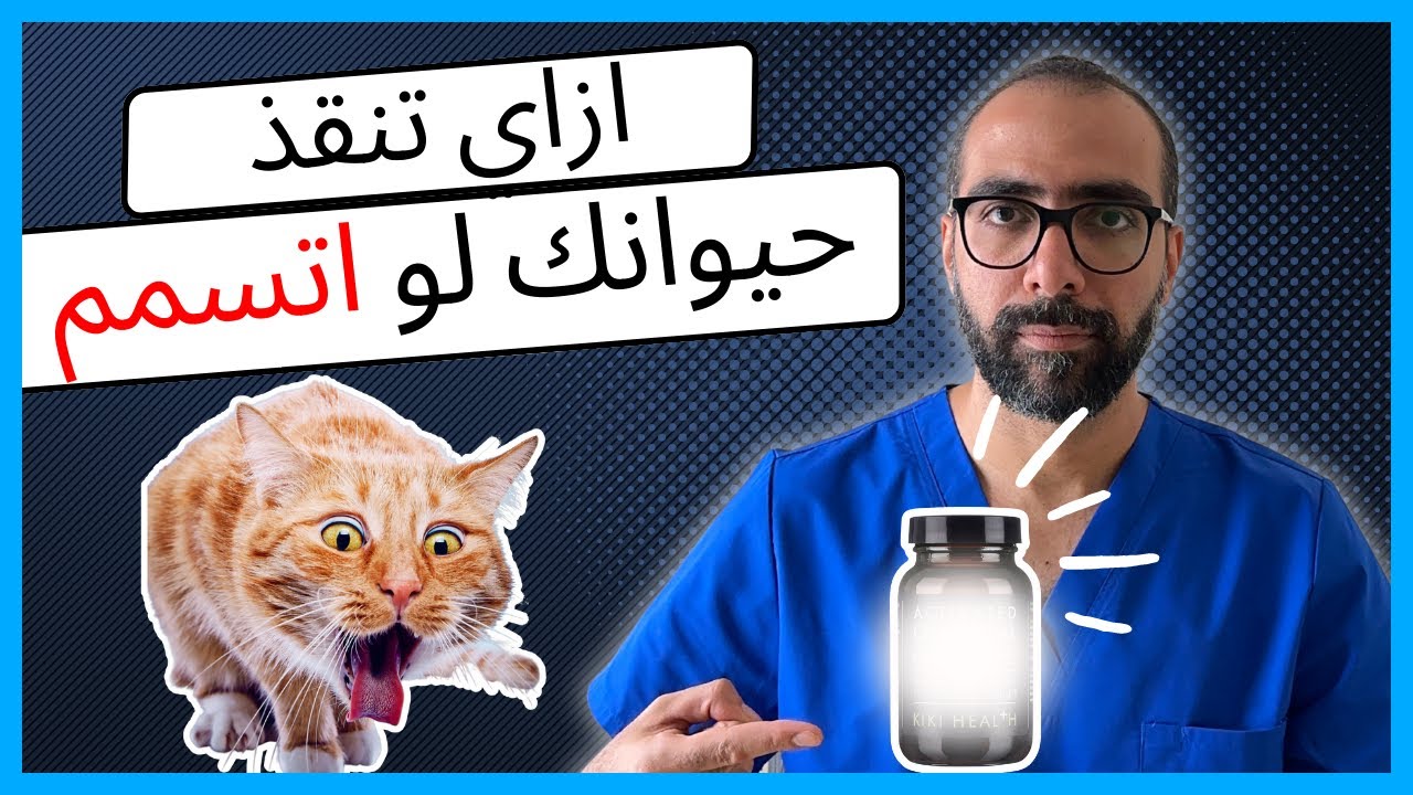 علامات التسمم في القطط و الكلاب | و علاج التسمم بالبيت في خطوات بسيطة