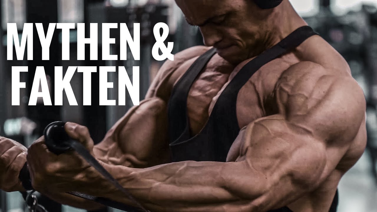 DAS MUSST DU VERSTEHEN! DER BESTE SPLIT | MUSCLE DAMAGE | MUSCLE CONFUSION