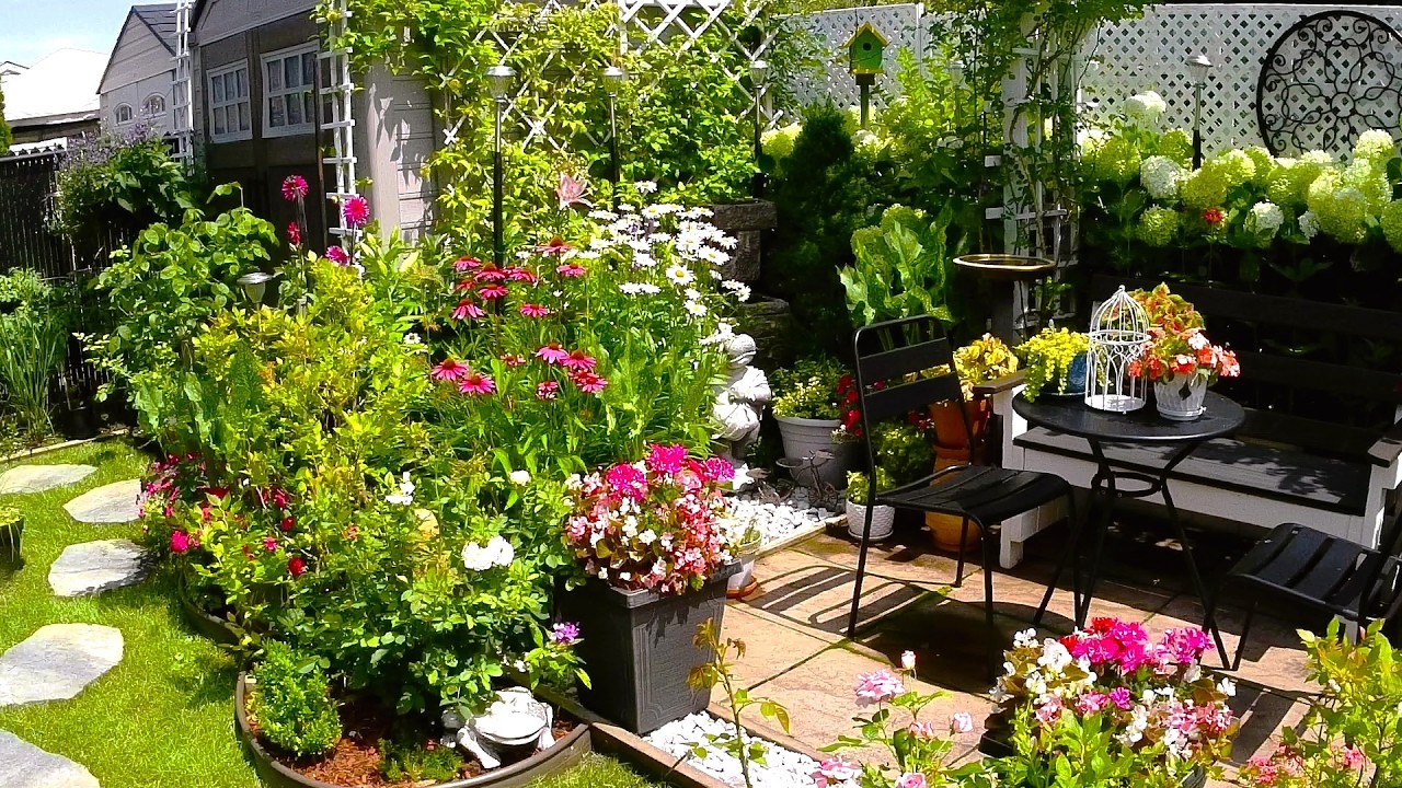 New Day In Tiny Garden | Plants and Flowers Garden Tour  #garden #gardening #plants #flowers #new